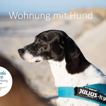 Haus Jungnamen Whg. 5 * Wittdün